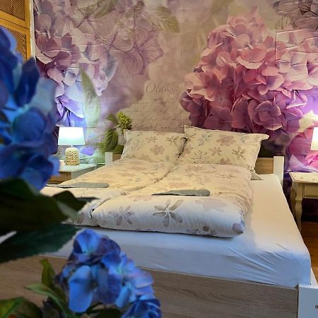 Tulipan Villa Panzio Szolnok Eksteriør billede