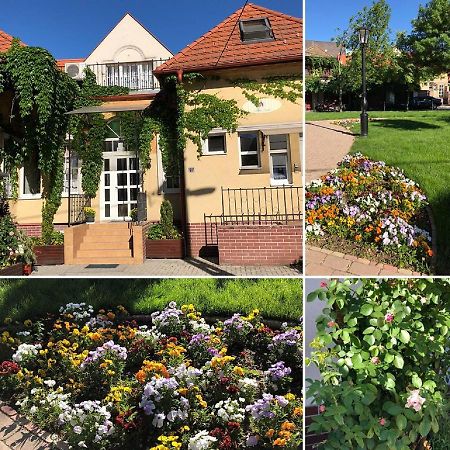 Tulipan Villa Panzio Szolnok Eksteriør billede