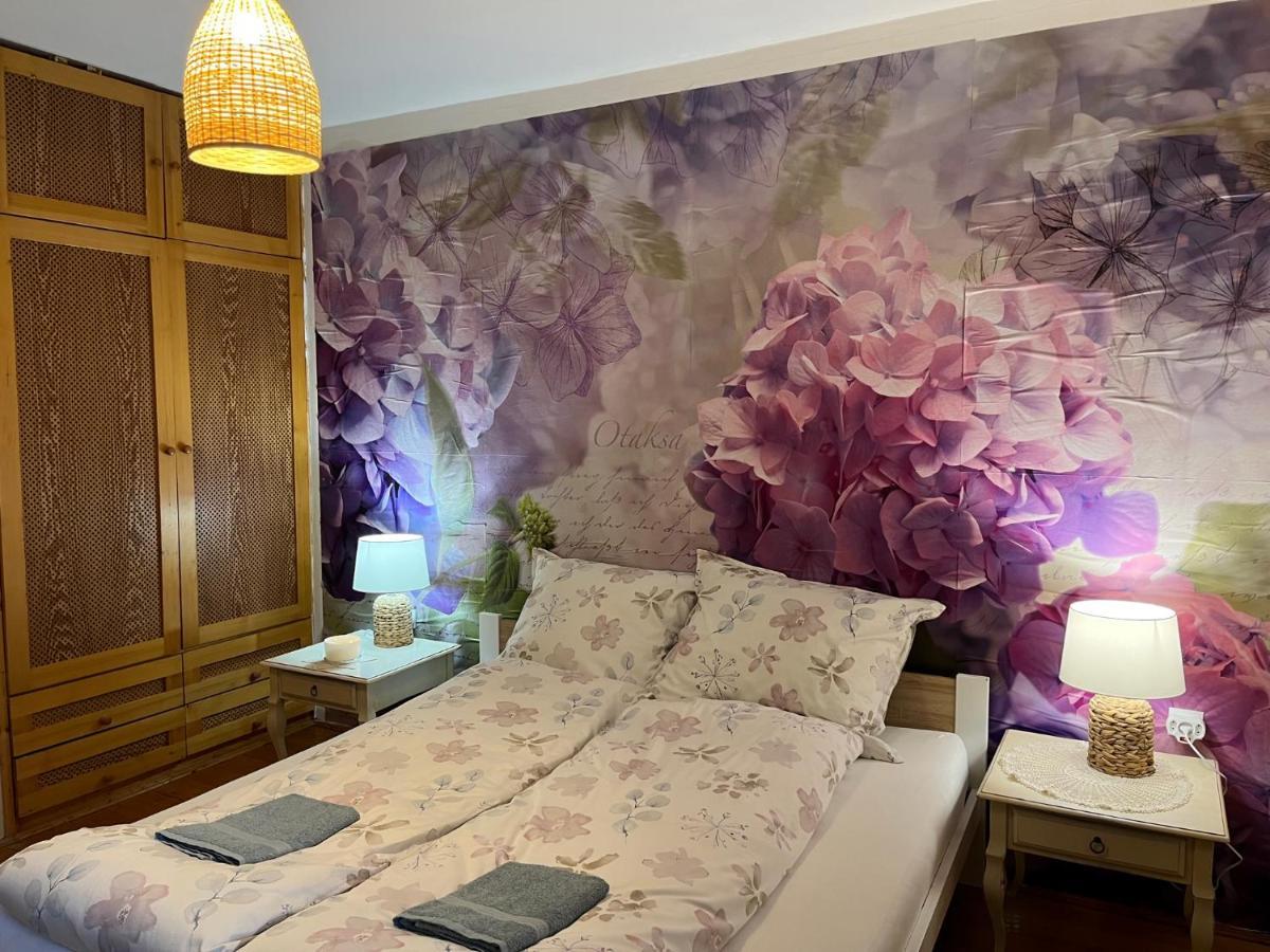 Tulipan Villa Panzio Szolnok Eksteriør billede