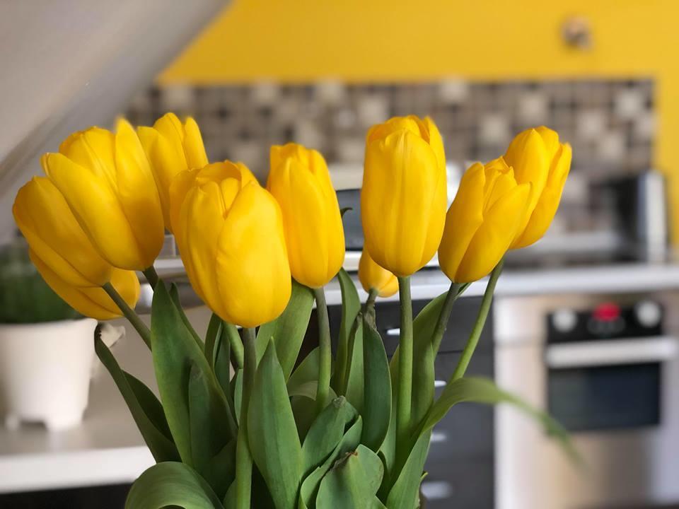 Tulipan Villa Panzio Szolnok Eksteriør billede