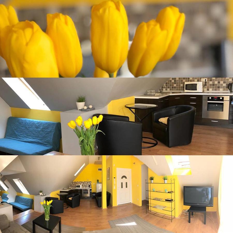 Tulipan Villa Panzio Szolnok Eksteriør billede