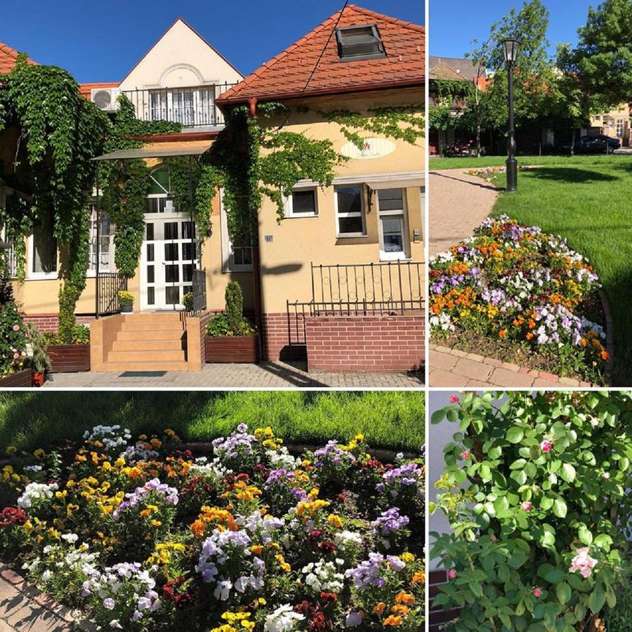 Tulipan Villa Panzio Szolnok Eksteriør billede